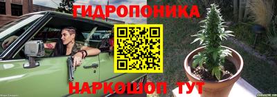 эйфоретик Абакан