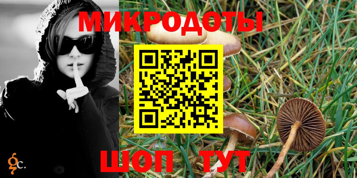 Галлюциногенные грибы GOLDEN TEACHER  Вход с VPN  Славгород 